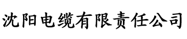 巴乐视频电缆厂logo